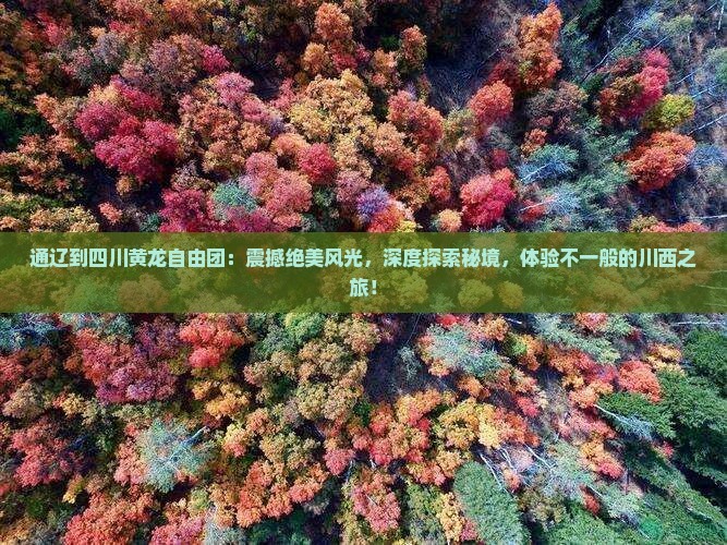 通辽到四川黄龙自由团