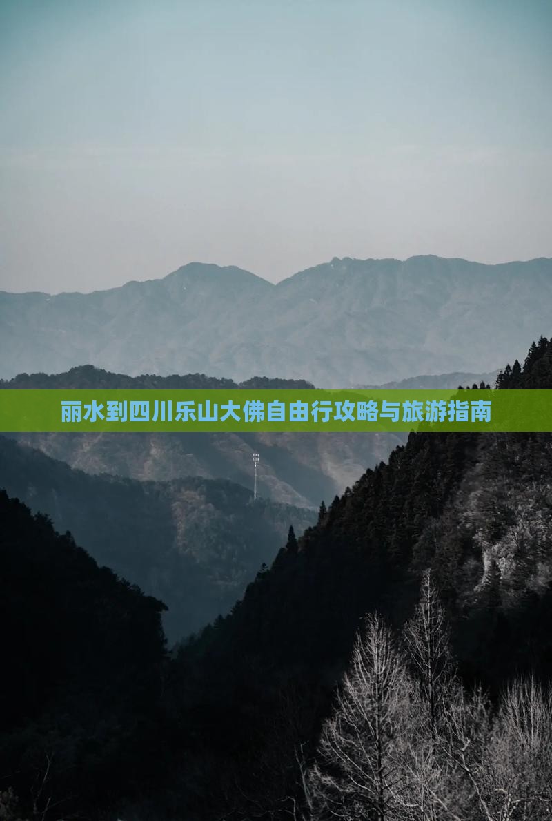丽水去四川乐山大佛自由行