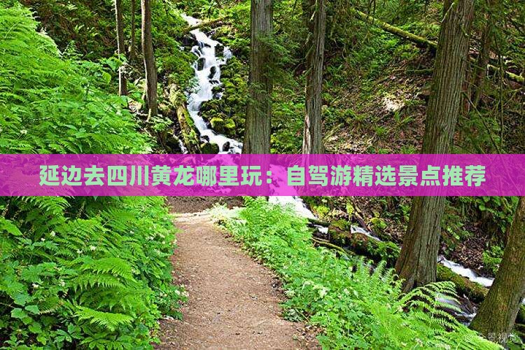 延边去四川黄龙哪里玩：自驾游精选景点推荐
