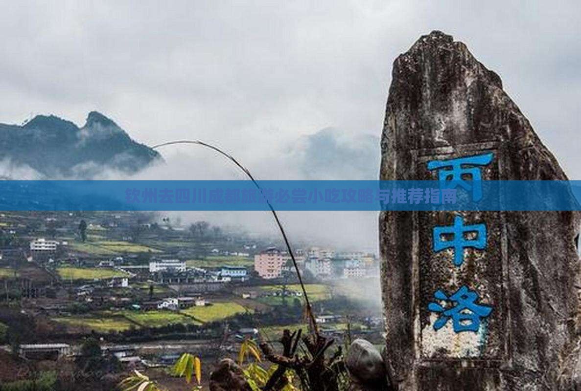 钦州去四川成都旅游必尝小吃攻略与推荐指南