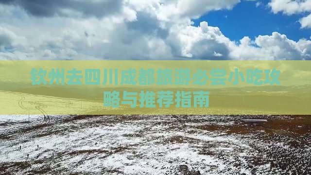 钦州去四川成都旅游必尝小吃攻略与推荐指南