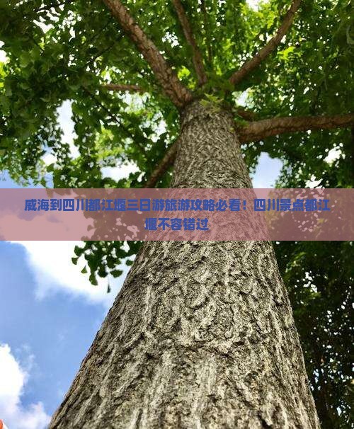 威海到四川都江堰三日游旅游攻略必看！四川景点都江堰不容错过