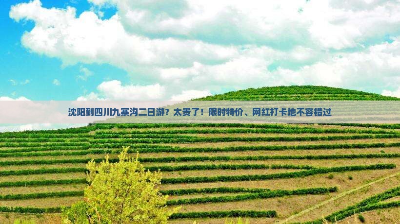 沈阳到四川九寨沟二日游？太贵了！限时特价、网红打卡地不容错过