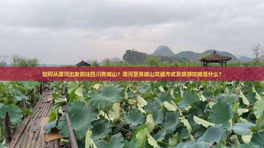 如何从漯河出发前往四川青城山？漯河至青城山交通方式及旅游攻略是什么？