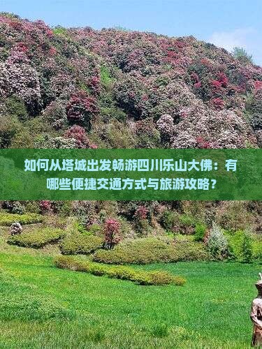 如何从塔城出发畅游四川乐山大佛：有哪些便捷交通方式与旅游攻略？