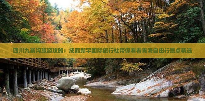 四川九寨沟旅游攻略：成都新宇国际旅行社带你看看青海自由行景点精选