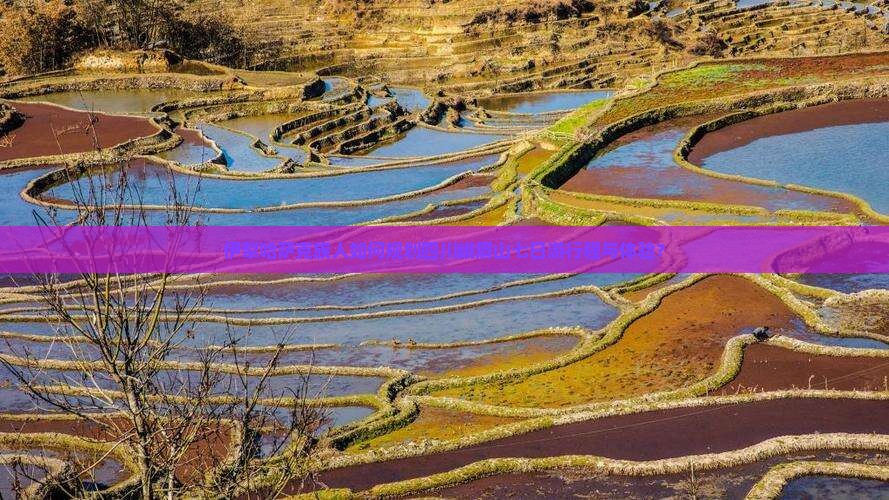 伊犁哈萨克族人如何规划四川峨眉山七日游行程与体验？