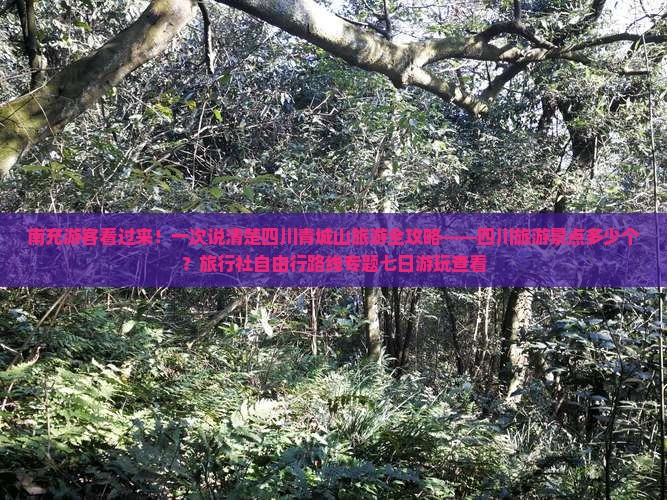 南充游客看过来！一次说清楚四川青城山旅游全攻略——四川旅游景点多少个？旅行社自由行路线专题七日游玩查看