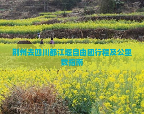荆州去四川都江堰自由团行程及公里数指南