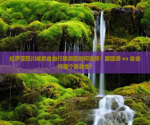拉萨至四川成都自由行旅游团如何选择？跟团游 vs 自由行哪个更适合？