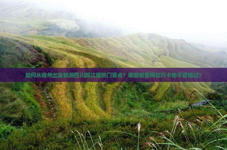 如何从宿州出发畅游四川都江堰热门景点？哪些新晋网红打卡地不容错过？