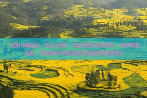 《四川峨眉山、乐山大佛、九寨沟四日游攻略：从攀枝花出发，成都旅行社提供更多国际旅游信息》