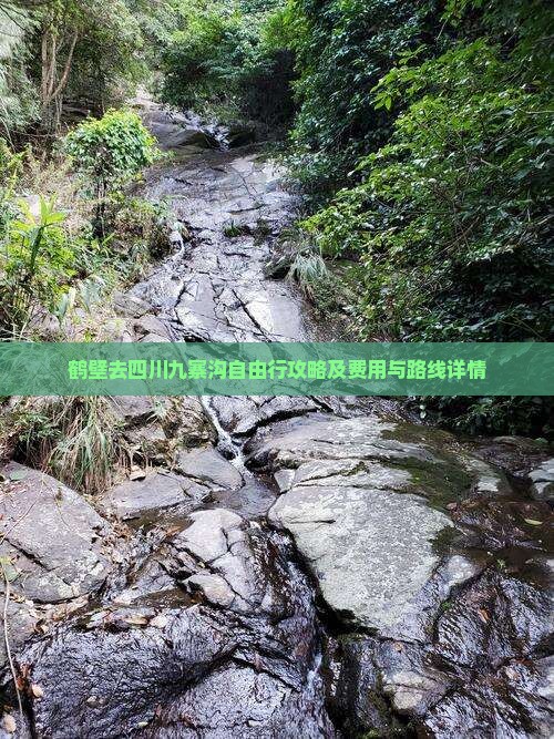 鹤壁去四川九寨沟自由行攻略及费用与路线详情