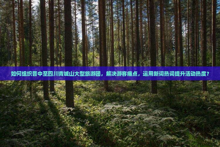 如何组织晋中至四川青城山大型旅游团，解决游客痛点，运用新词热词提升活动热度？