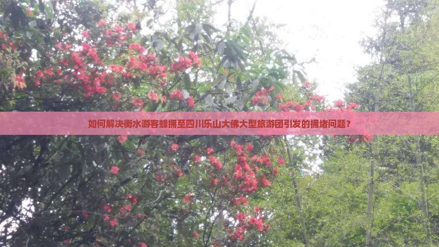 如何解决衡水游客蜂拥至四川乐山大佛大型旅游团引发的拥堵问题？