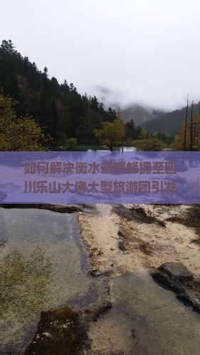 如何解决衡水游客蜂拥至四川乐山大佛大型旅游团引发的拥堵问题？