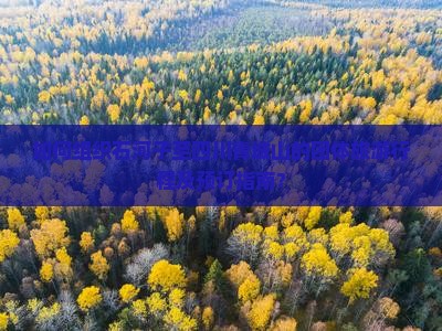 如何组织石河子至四川青城山的团体旅游行程及预订指南？