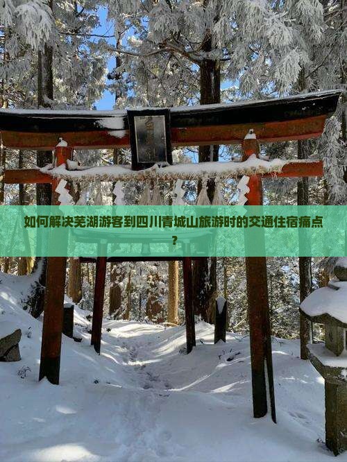 如何解决芜湖游客到四川青城山旅游时的交通住宿痛点？