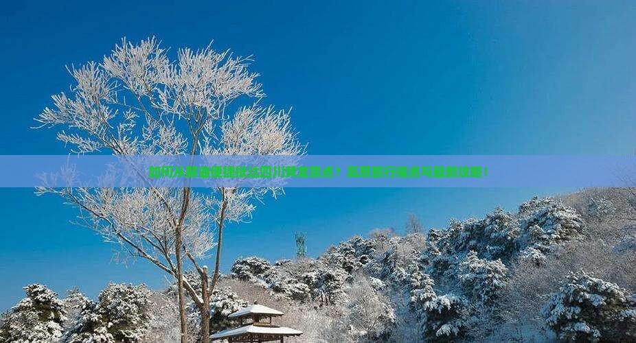 如何从那曲便捷抵达四川黄龙景点？高原旅行痛点与最新攻略！