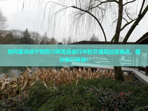 如何解决咸宁到四川黄龙自由行中的交通和住宿痛点，提升旅行体验？