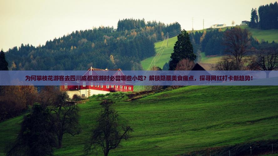为何攀枝花游客去四川成都旅游时必尝哪些小吃？解锁隐藏美食痛点，探寻网红打卡新趋势！