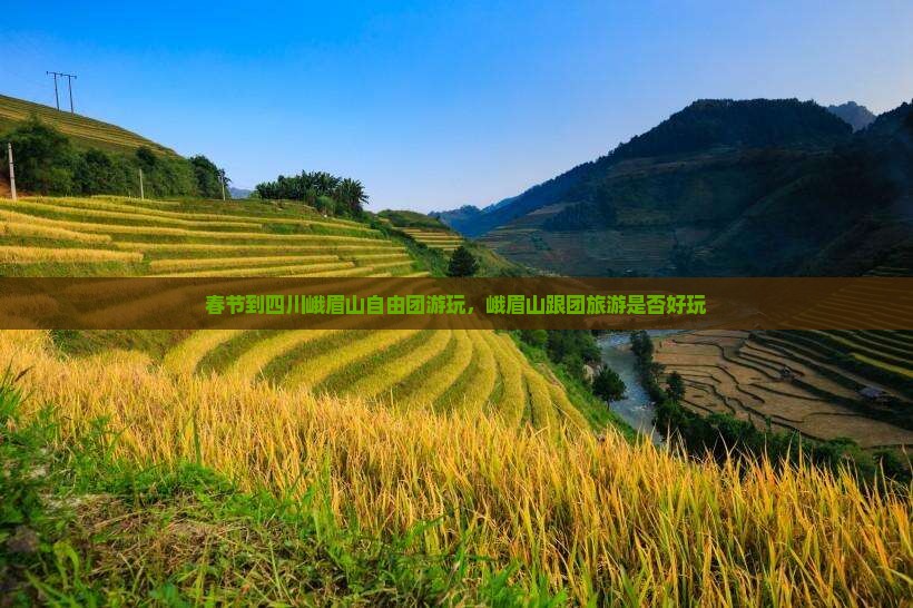 春节到四川峨眉山自由团游玩，峨眉山跟团旅游是否好玩