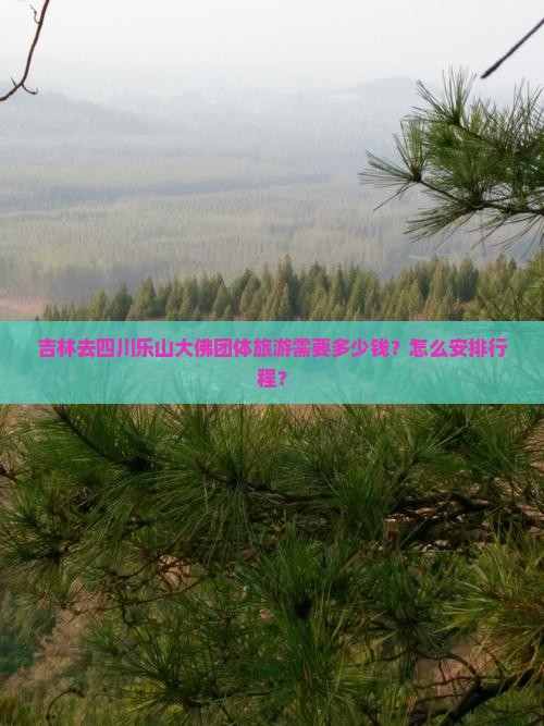 吉林去四川乐山大佛团体旅游需要多少钱？怎么安排行程？