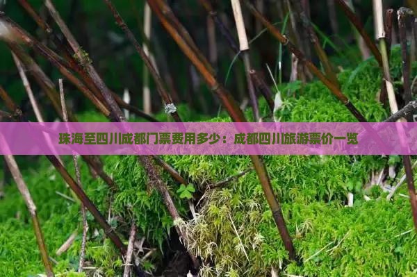 珠海至四川成都门票费用多少：成都四川旅游票价一览