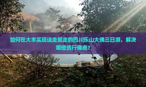 如何在大丰实现说走就走的四川乐山大佛三日游，解决哪些旅行痛点？