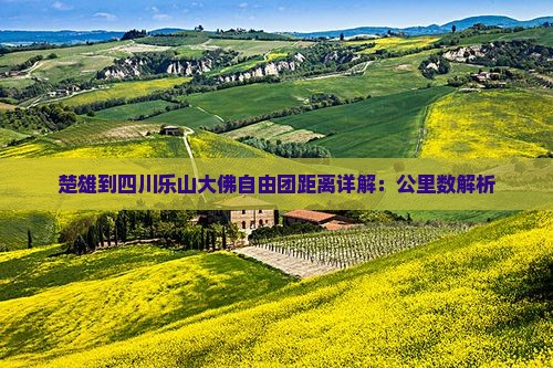 楚雄到四川乐山大佛自由团距离详解：公里数解析