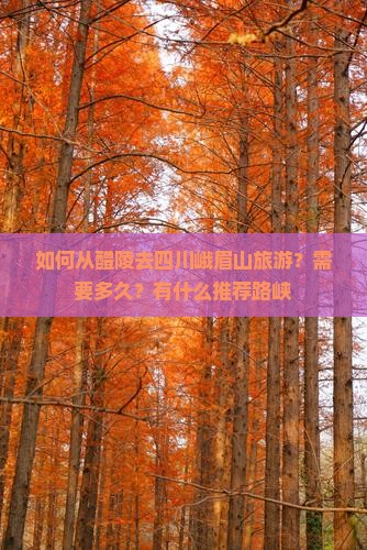 如何从醴陵去四川峨眉山旅游？需要多久？有什么推荐路峡