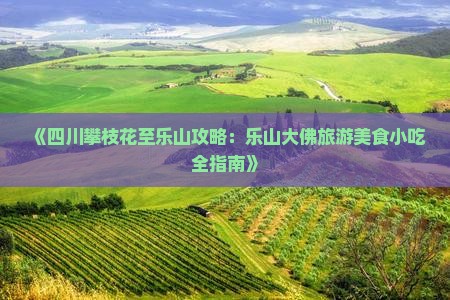 《四川攀枝花至乐山攻略：乐山大佛旅游美食小吃全指南》