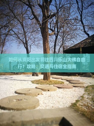 如何从资阳出发前往四川乐山大佛自由行？攻略、交通与住宿全指南