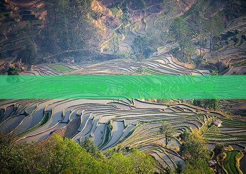 二月去四川成都旅游，门票价格如何才能更划算？