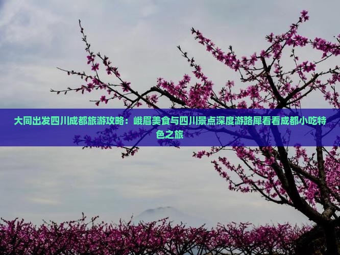 大同出发四川成都旅游攻略：峨眉美食与四川景点深度游路犀看看成都小吃特色之旅