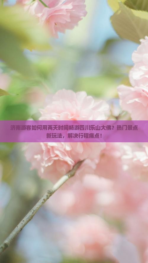 济南游客如何用两天时间畅游四川乐山大佛？热门景点新玩法，解决行程痛点！