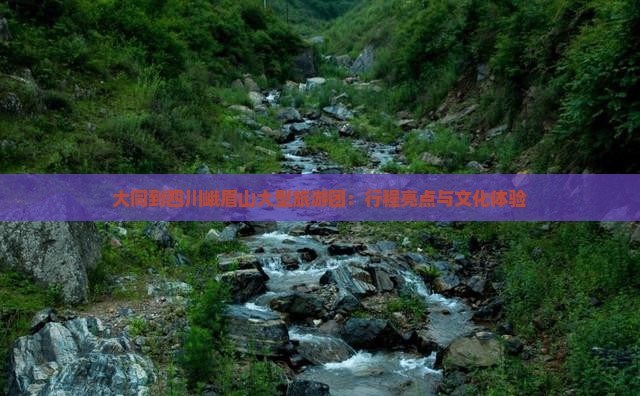大同到四川峨眉山大型旅游团：行程亮点与文化体验