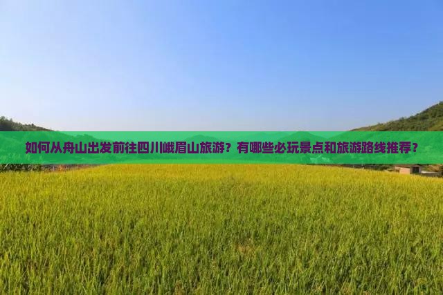 如何从舟山出发前往四川峨眉山旅游？有哪些必玩景点和旅游路线推荐？