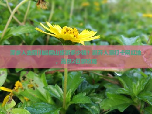 萍乡人去四川峨眉山旅游多少钱？避开人潮打卡网红地，高铁2日游攻略
