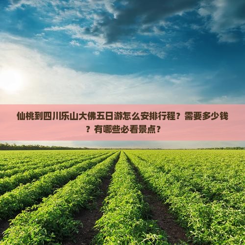 仙桃到四川乐山大佛五日游怎么安排行程？需要多少钱？有哪些必看景点？