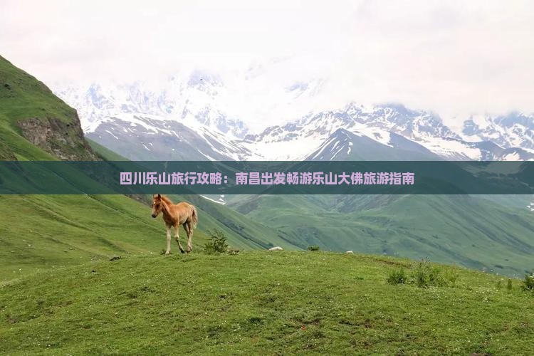 四川乐山旅行攻略：南昌出发畅游乐山大佛旅游指南