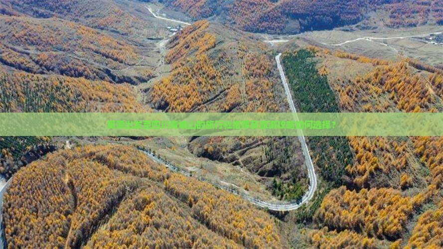 鹰潭出发至四川青城山的旅行社推荐及旅游攻略如何选择？