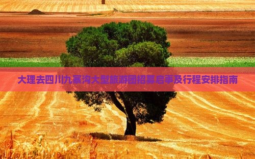 大理去四川九寨沟大型旅游团招募启事及行程安排指南