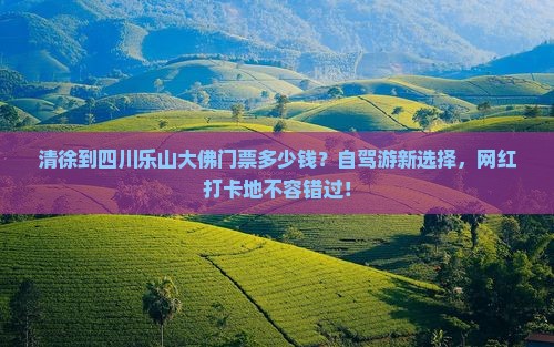 清徐到四川乐山大佛门票多少钱？自驾游新选择，网红打卡地不容错过！