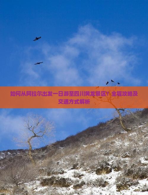 如何从阿拉尔出发一日游至四川黄龙景区？全程攻略及交通方式解析