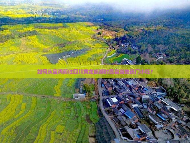 如何从宝鸡前往四川黄龙旅游时品尝当地热门小吃？