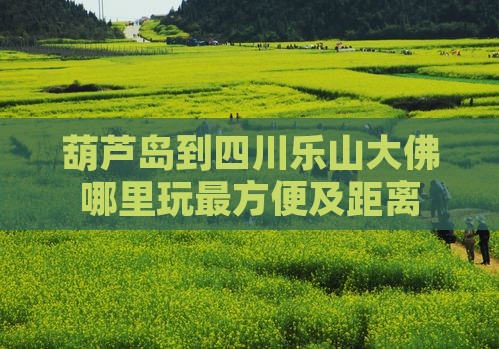葫芦岛到四川乐山大佛哪里玩最方便及距离