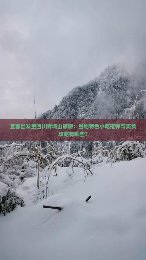 宜春出发至四川青城山旅游：当地特色小吃推荐与美食攻略有哪些？