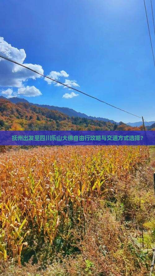 抚州出发至四川乐山大佛自由行攻略与交通方式选择？