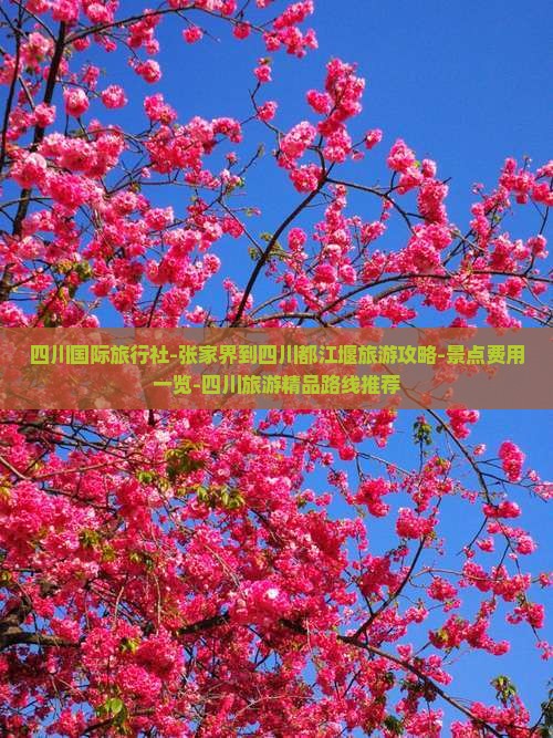 四川国际旅行社-张家界到四川都江堰旅游攻略-景点费用一览-四川旅游精品路线推荐